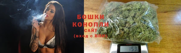 прущие крисы Инсар