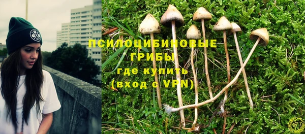 прущие крисы Инсар