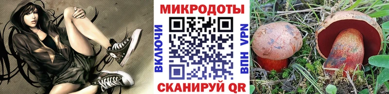 Псилоцибиновые грибы мицелий  Кинешма 
